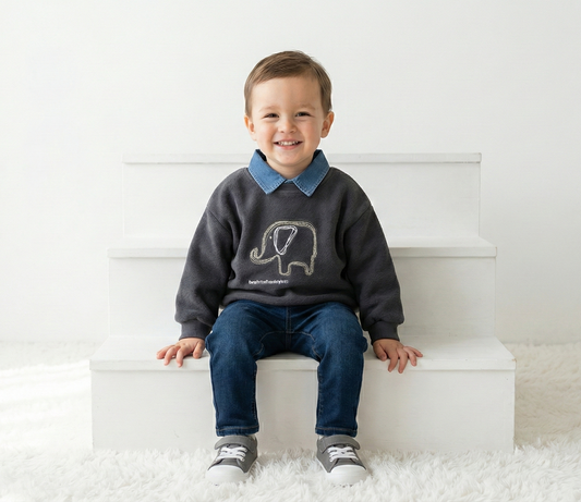 سويت شيرت أولادي شتوي فاخر - خامة ناعمة بياقة جينز وتطريز فيل مميز