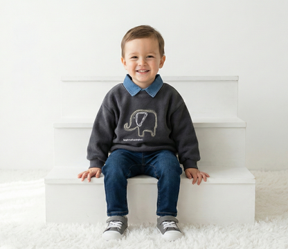 سويت شيرت أولادي شتوي فاخر - خامة ناعمة بياقة جينز وتطريز فيل مميز