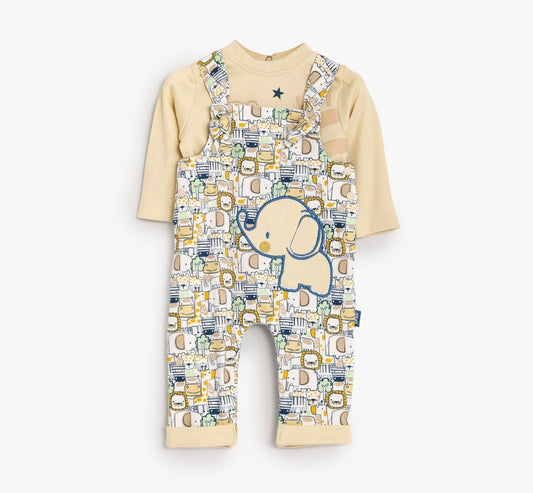 سالوبيت جونيور نقشه فيل بيج