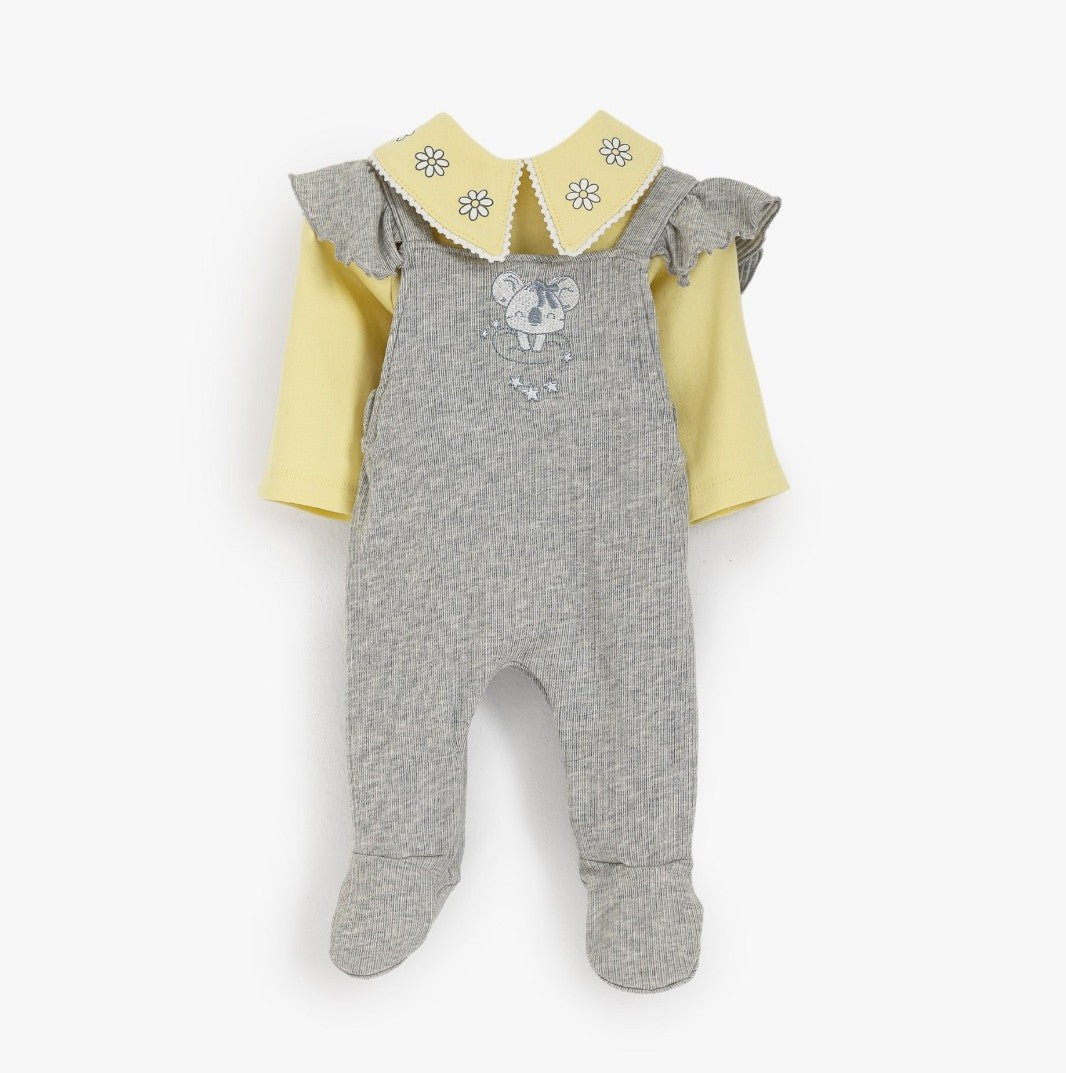 سالوبيت جونيور رمادي في اصفر