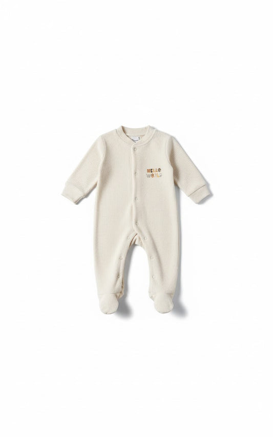 سالويست hello world بيج